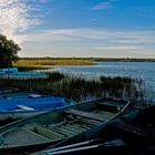 Au bord du lac de Mimizan-Aureilhan