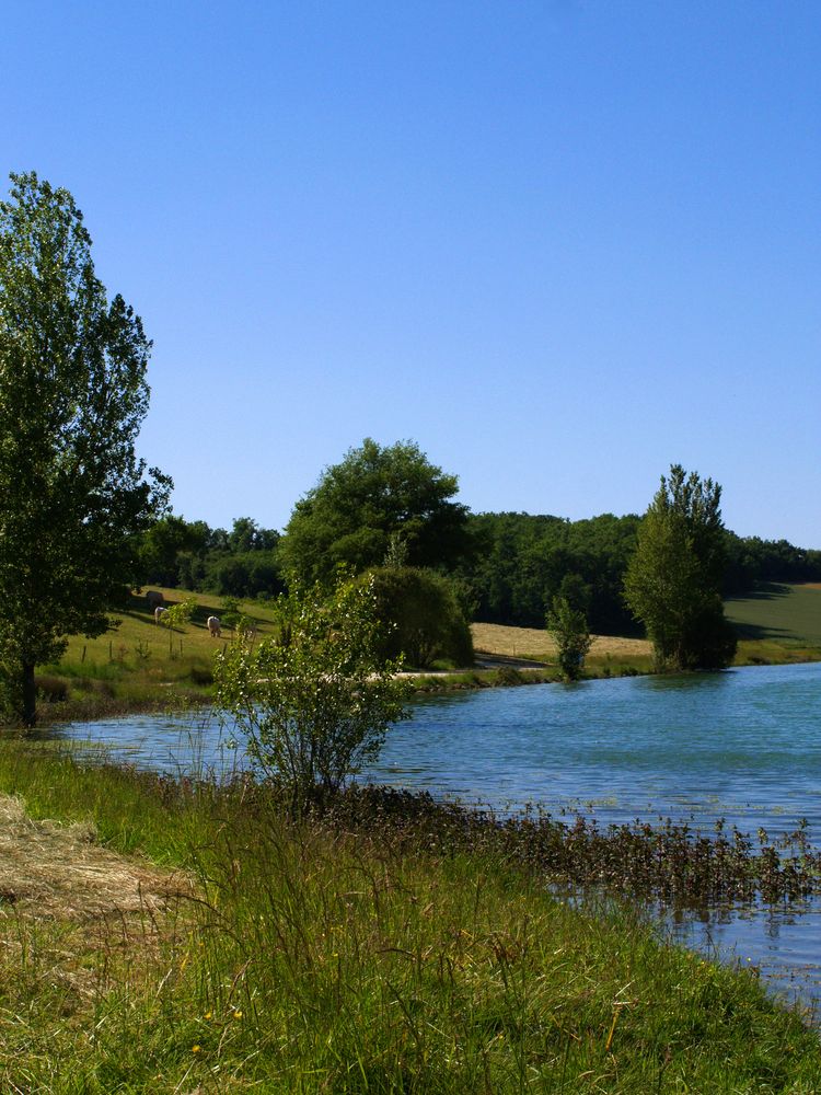 Au bord du lac du Bousquetara - Am Rande des Bousquetara-See