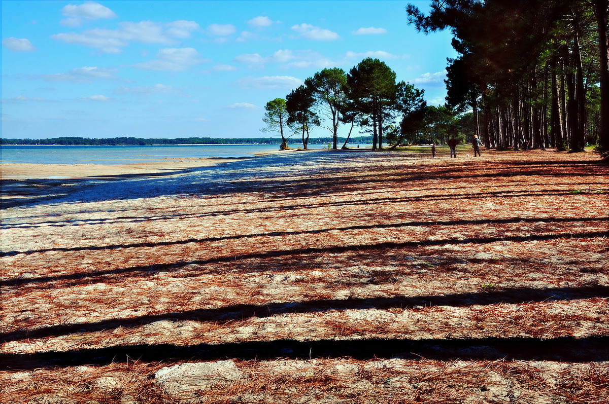 Au bord du lac