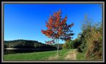 AU BORD DU LAC de jean françois biancamaria 