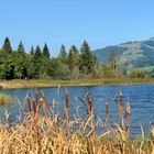 Au bord du Lac Noir...