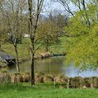 Au bord du plan d'eau