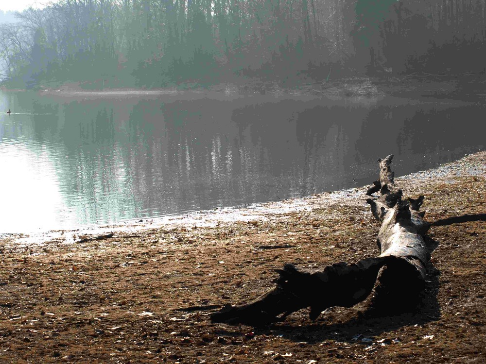 Au bord du réservoir