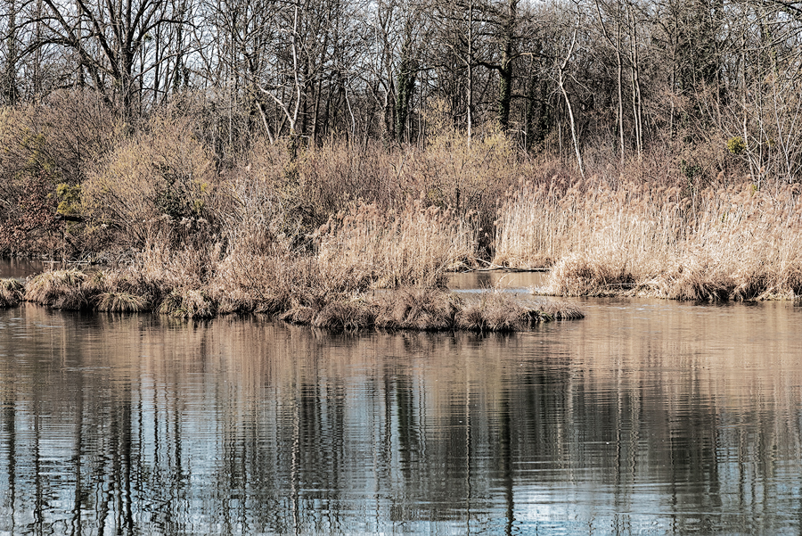 Au bord du Rhin III