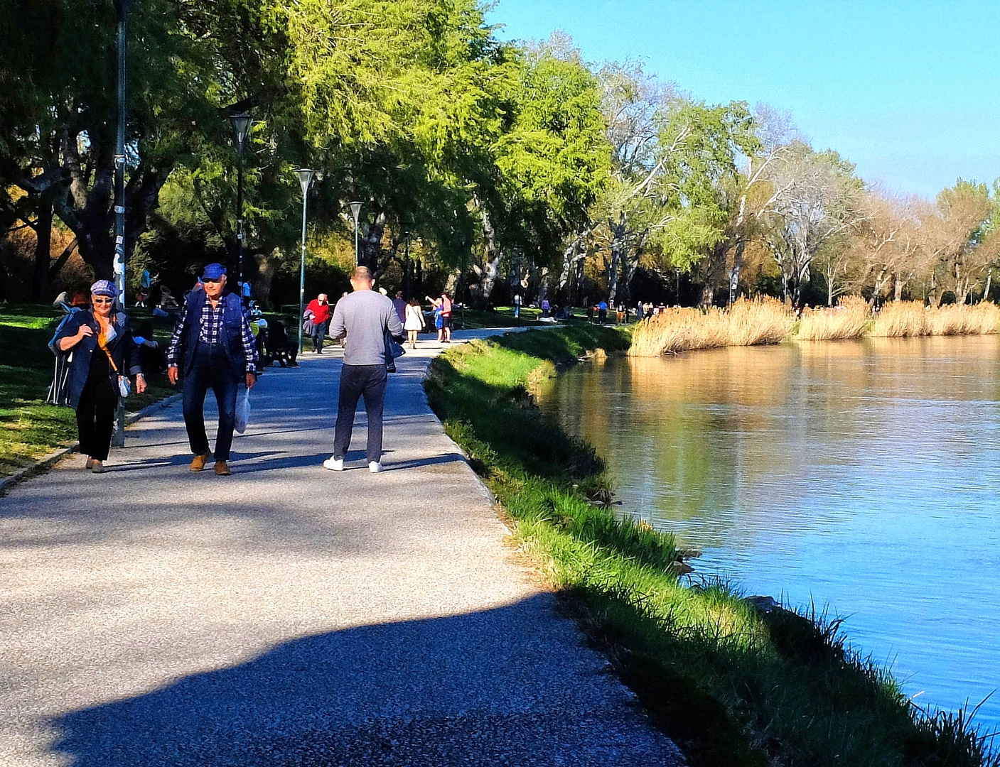 Au bord du Rhône