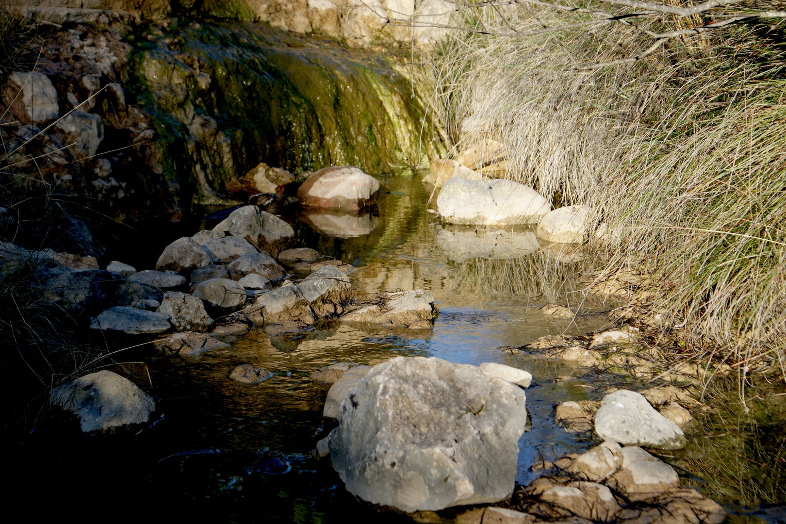 au bord du ruisseau