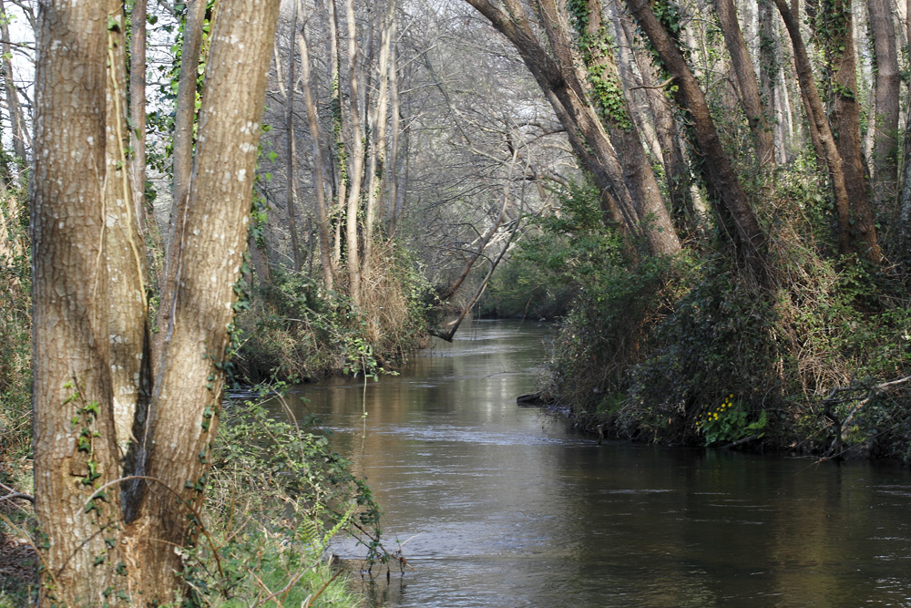 Au bord du ruisseau !!! photo et image paysages, paysages de campagne