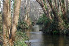 Au bord du ruisseau !!!