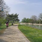 Au bord du sas est du Pont-canal