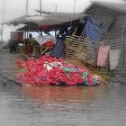 Au bord du Tonle Sap - Cambodge