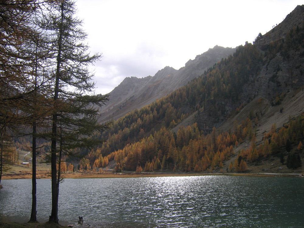 au bord d'un lac de montagne