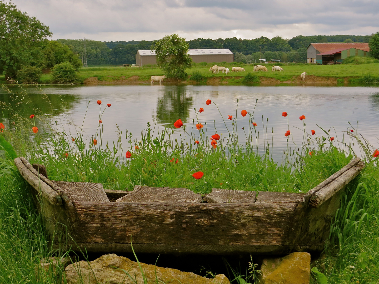 ... au bord le Doubs-1- !!!...