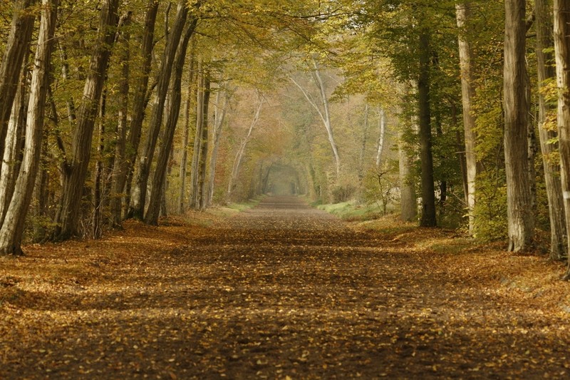 Au bout de la route