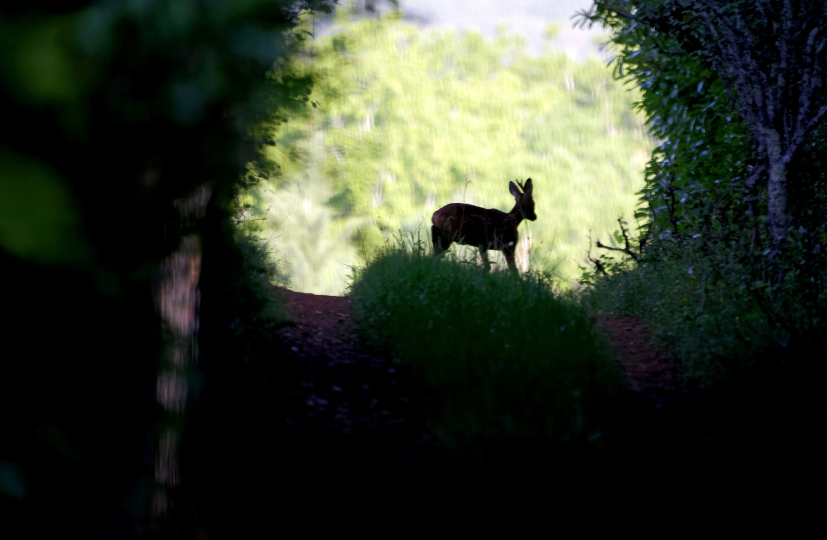 au bout du chemin