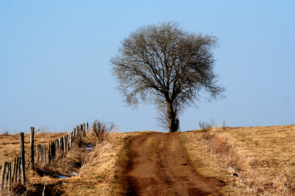 Au bout du chemin