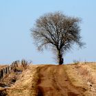 Au bout du chemin