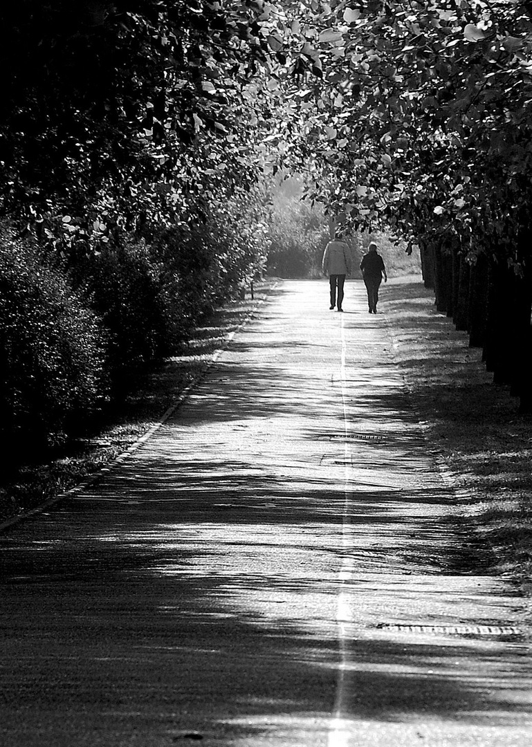 au bout du chemin