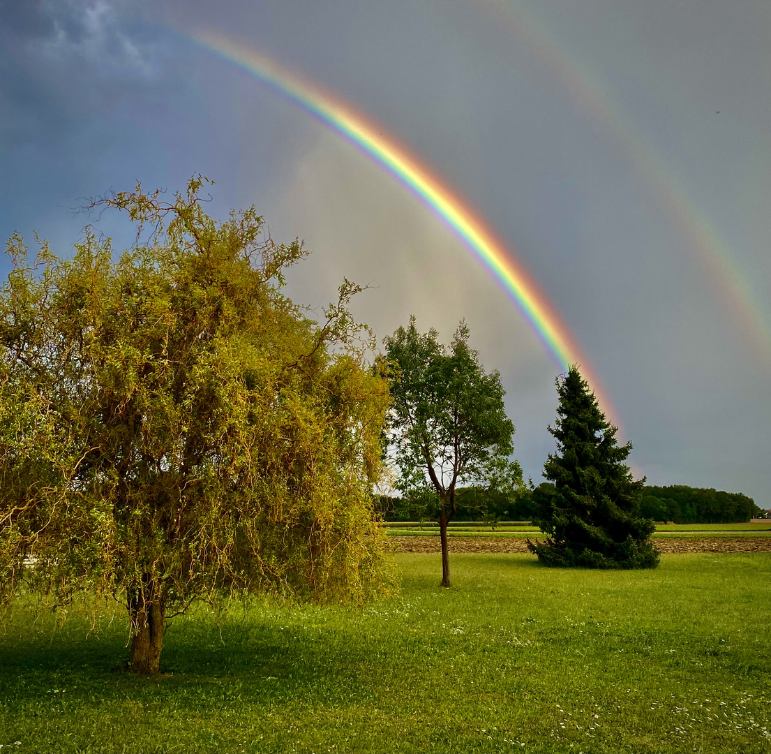 Au bout du jardin 