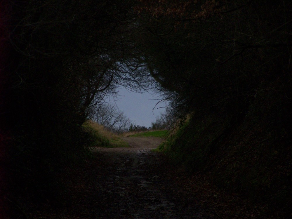 au bout du tunnel