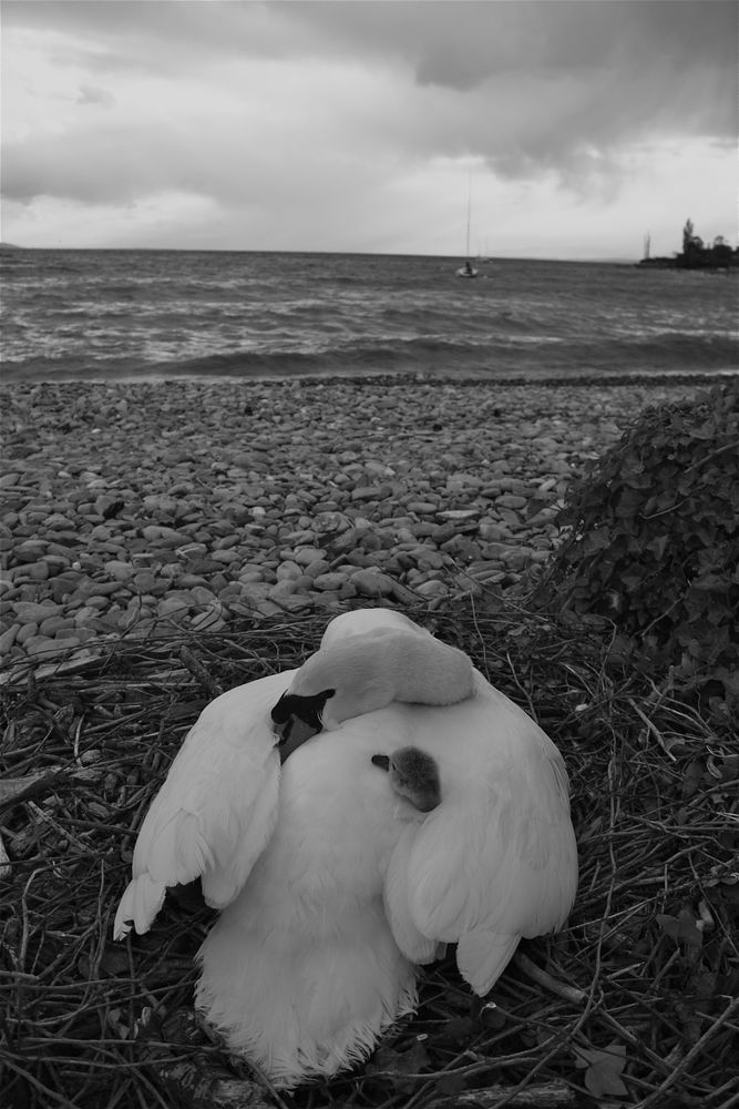 Au chaud, avant l'orage de Ergi 