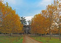 Au Château de Cassaigne en novembre (Gers)