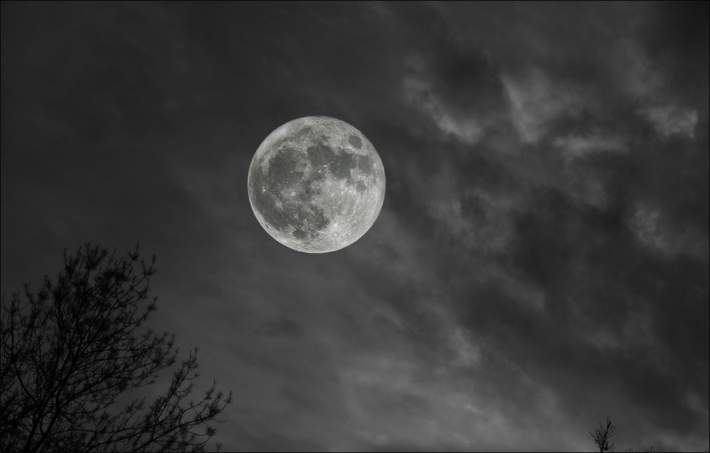 Au clair de la lune du 14-11-2016 