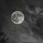 Au clair de la lune du 14-11-2016 