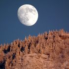 Au Clair de la Lune, sur la forêt du Revard