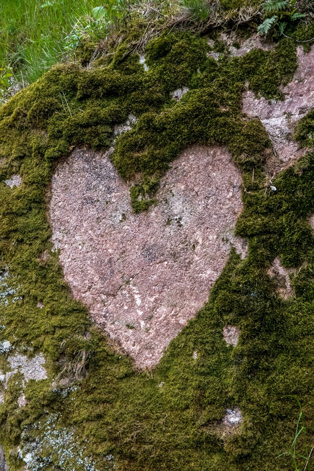 Au coeur de la Nature