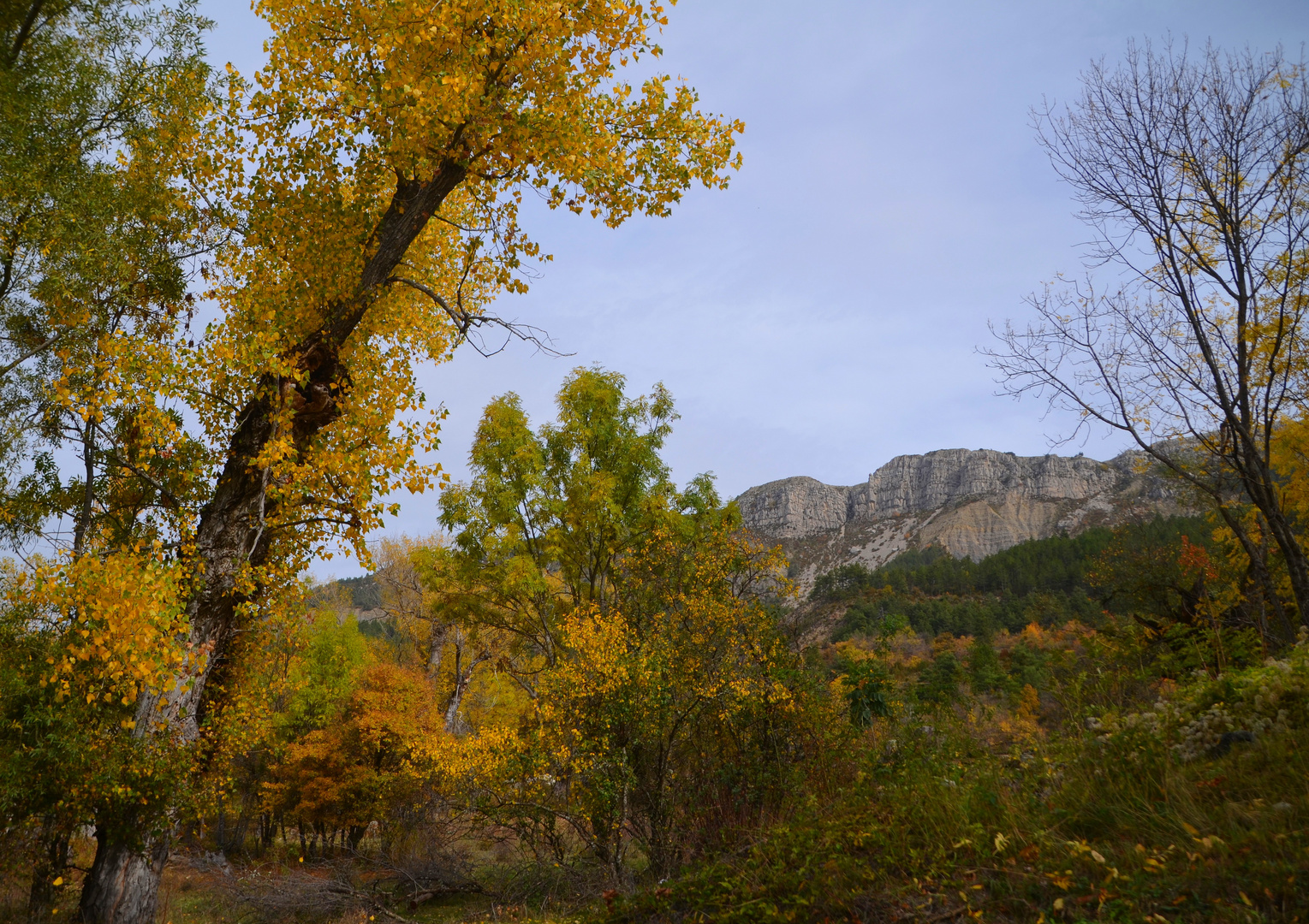  * au coeur de l'automne *