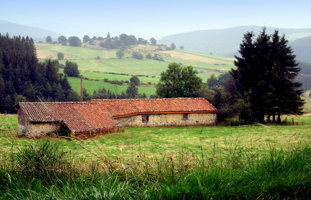 Au coeur de l'Auvergne