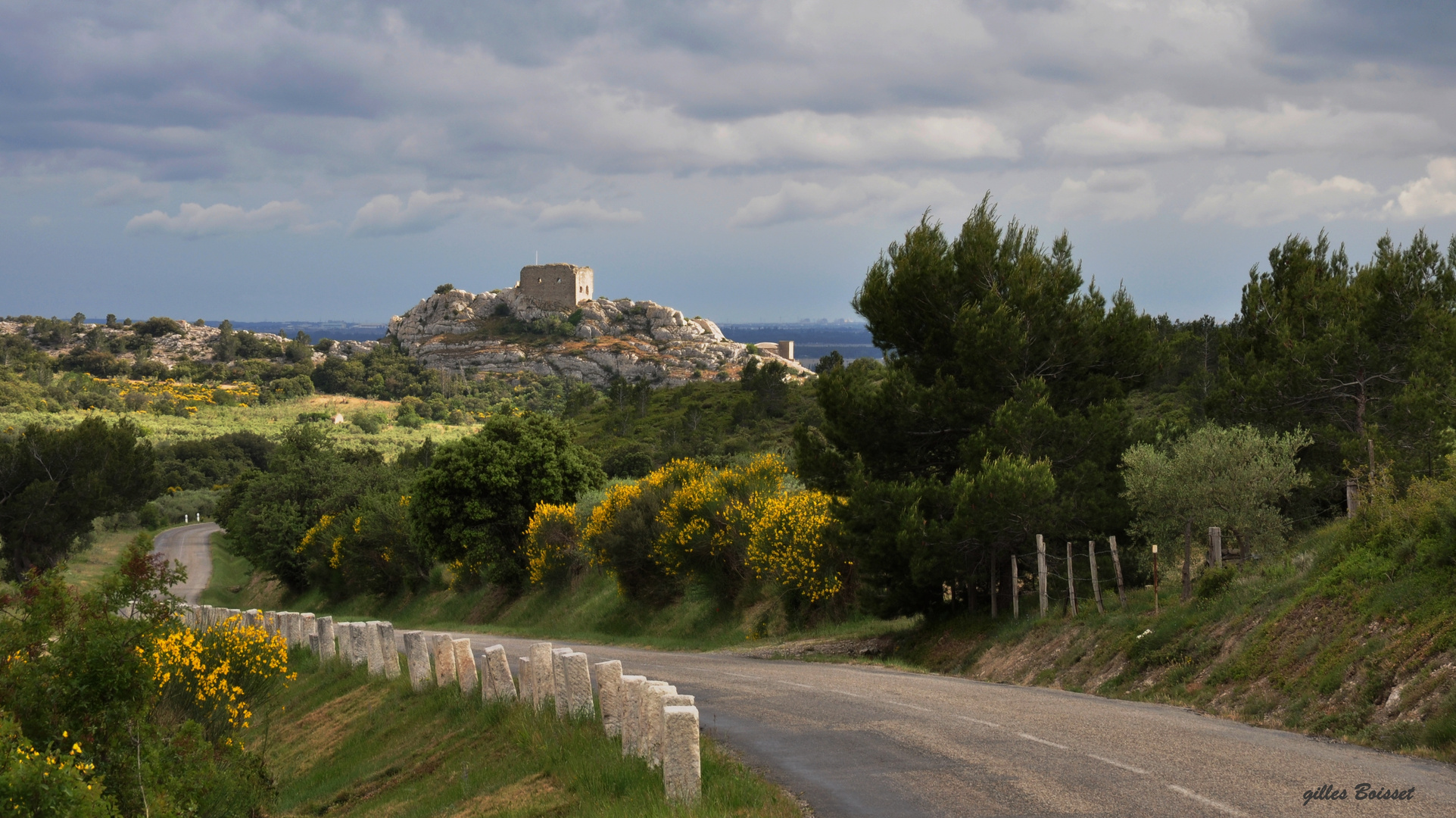 au coeur des Alpilles