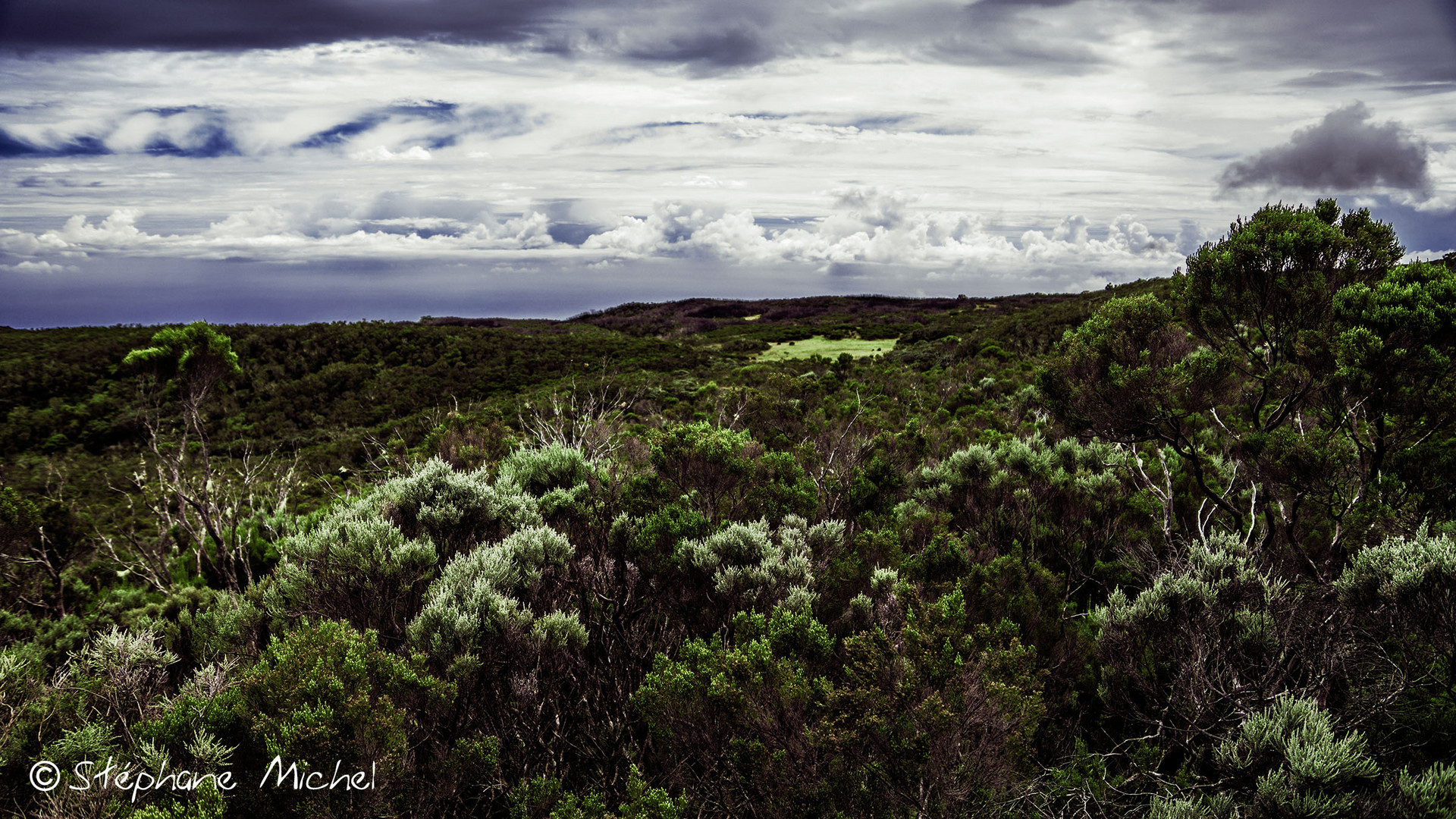 Au coeur du Parc national de la Réunion