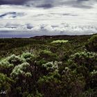 Au coeur du Parc national de la Réunion