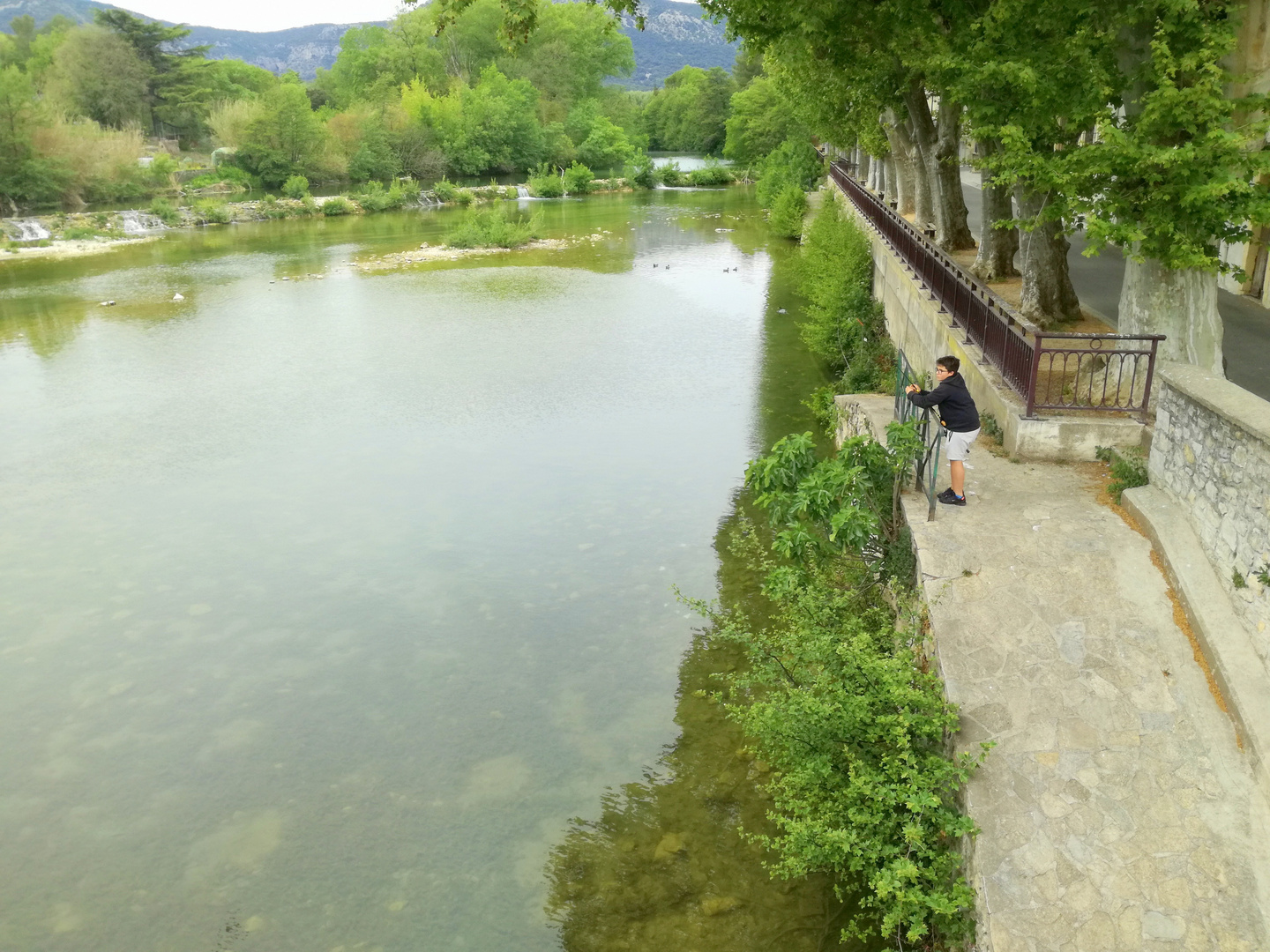 Au coeur du Piémont cévenol, Quissac (gard)