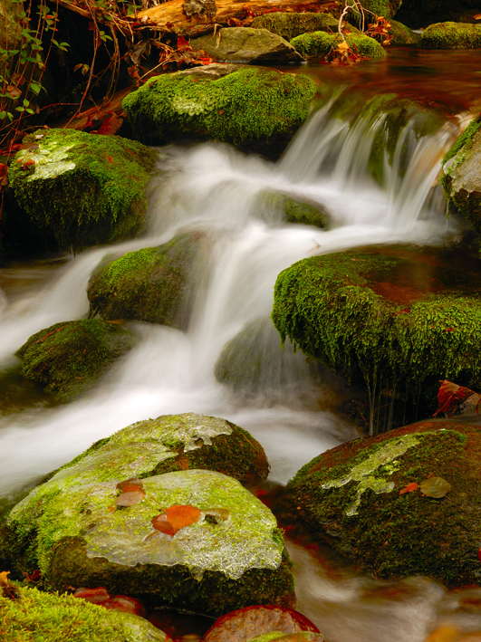 au coeur du torrent de revel 