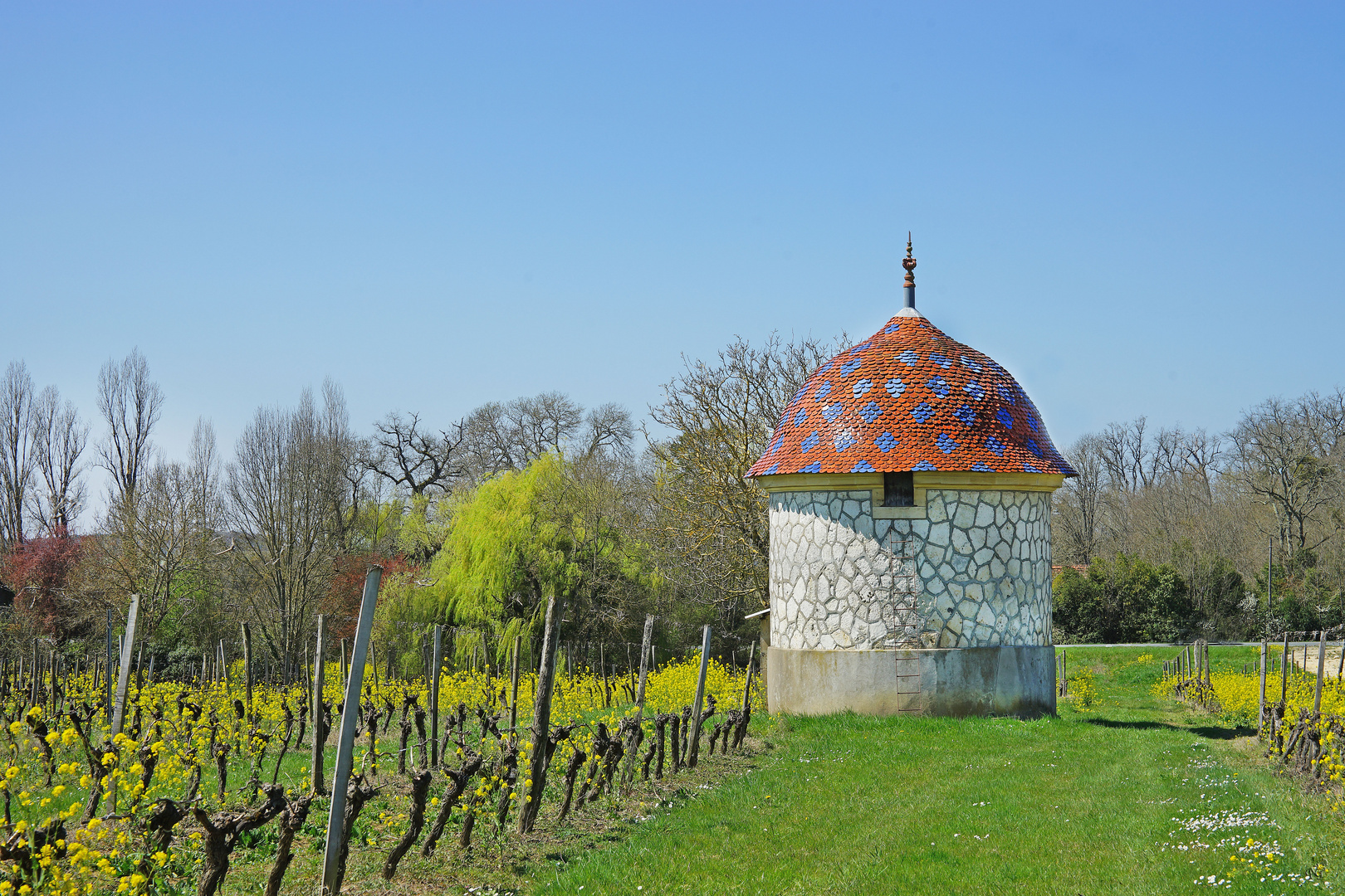 au coeur du vignoble...