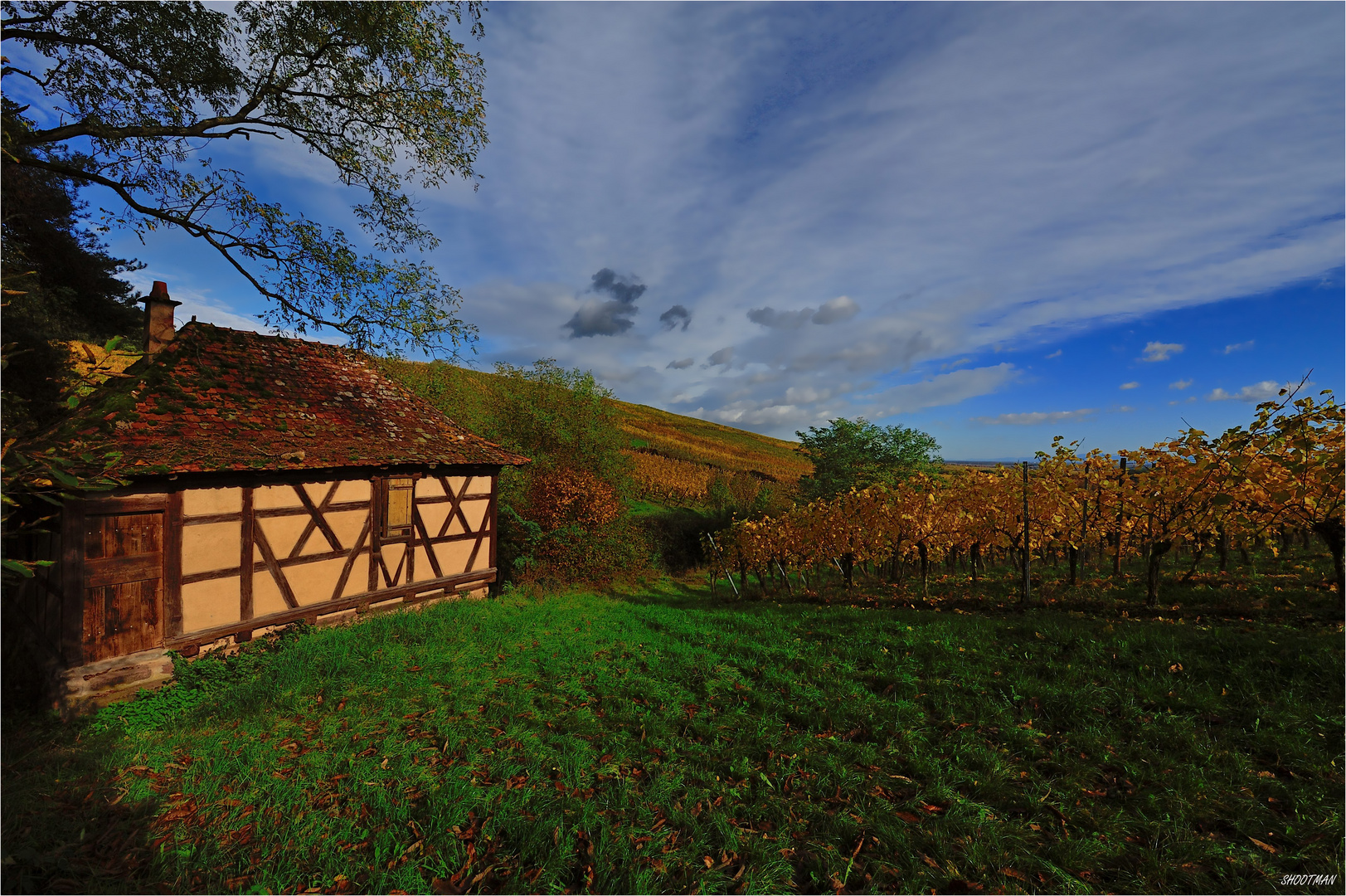 Au coeur du vignoble