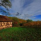 Au coeur du vignoble