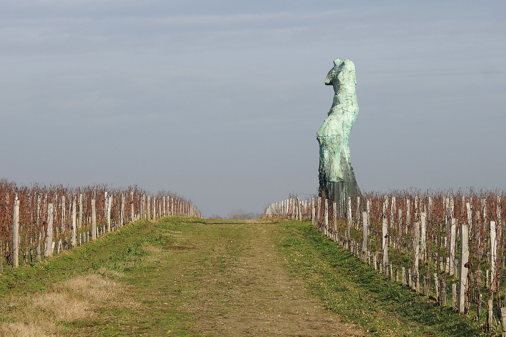 Au coeur du vignoble bordelais....