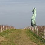 Au coeur du vignoble bordelais....