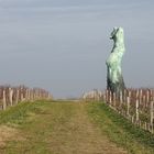 Au coeur du vignoble bordelais....