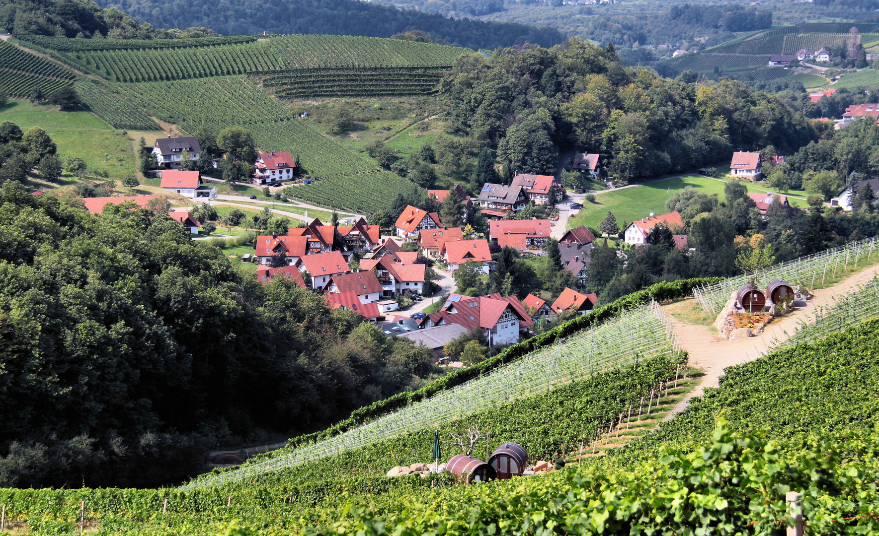 au coeur du vignoble!!!!!!!