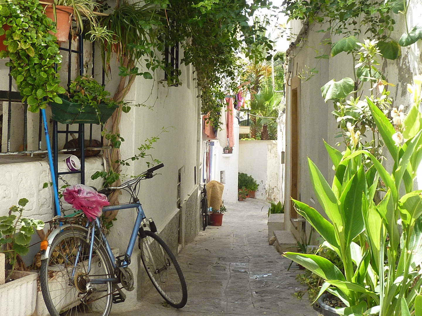 Au coeur d'une rue typique d'Ibiza