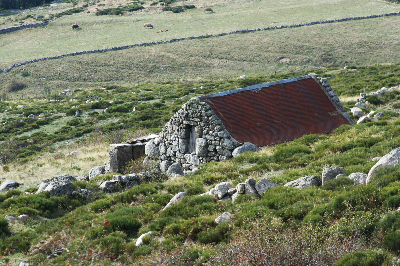 Au col de Finiels