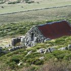 Au col de Finiels