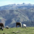 au col d'iraty !