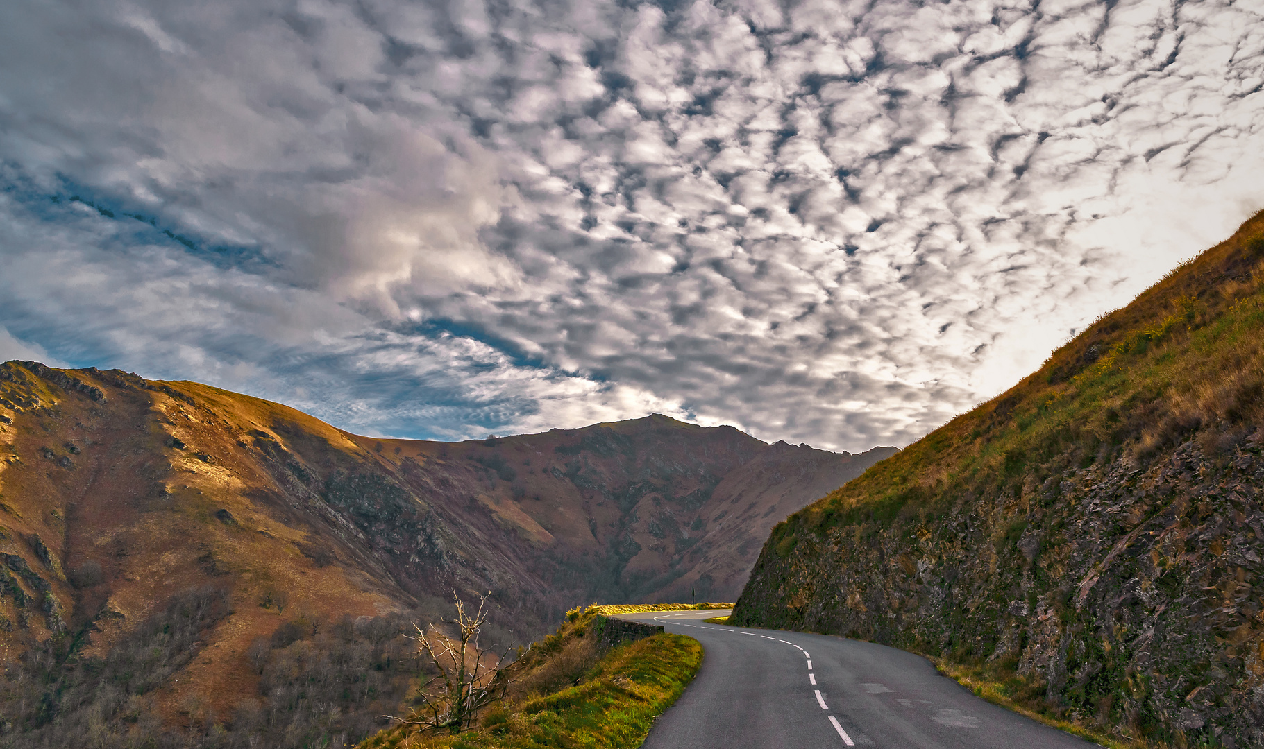 Au col d'Ispéguy