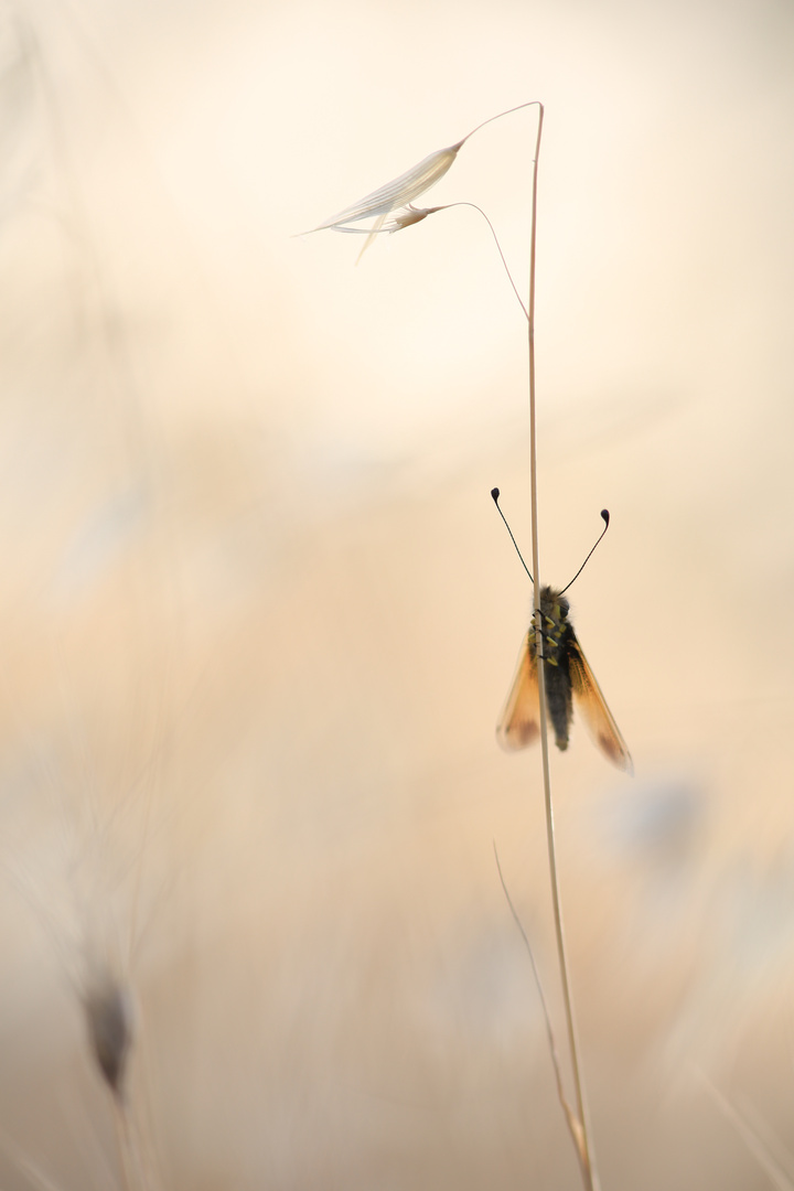 au coucher ...