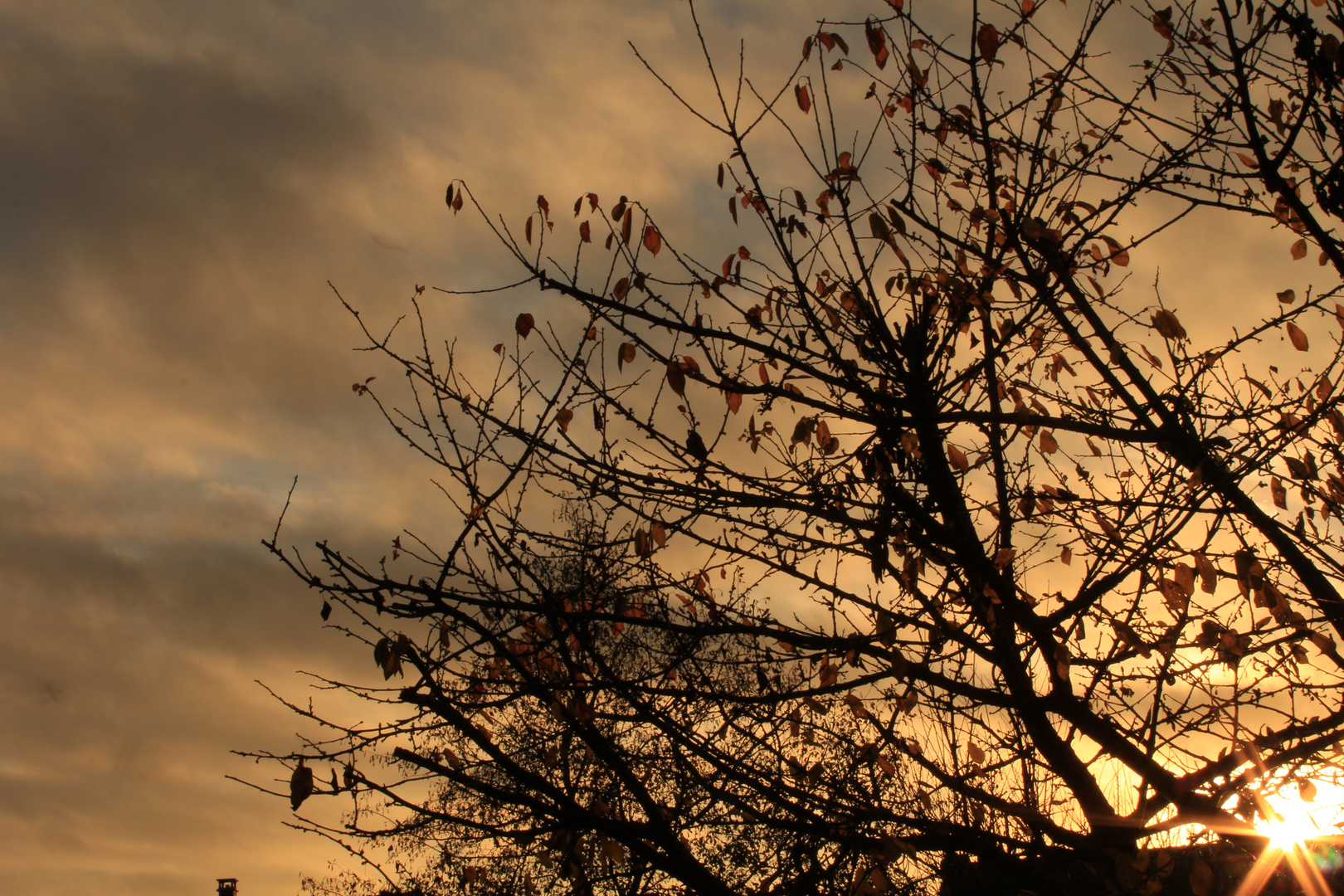 Au coucher du soleil